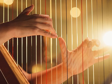2023 findet der ARD-Musikwettbewerb u.a. in der Kategorie Harfe statt © Kitreel/ Shutterstock